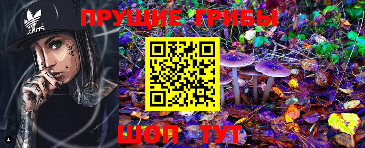 Псилоцибиновые грибы Magic Shrooms  закладки  Вход с VPN  Орехово-Зуево  Галлюциногенные грибы MAGIC MUSHROOMS 